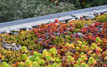 the cost of Craig Berthlwyd green roof installation