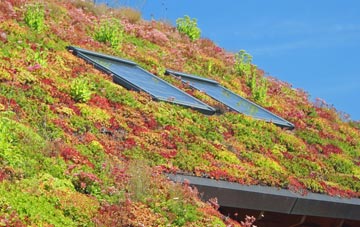 Craig Berthlwyd living roof systems