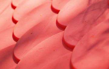 Craig Berthlwyd plastic roof costs