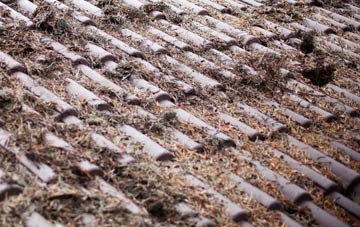 Craig Berthlwyd roof cleaning companies