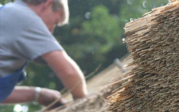 professional Craig Berthlwyd thatchers