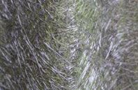 Craig Berthlwyd fibreglass roof work